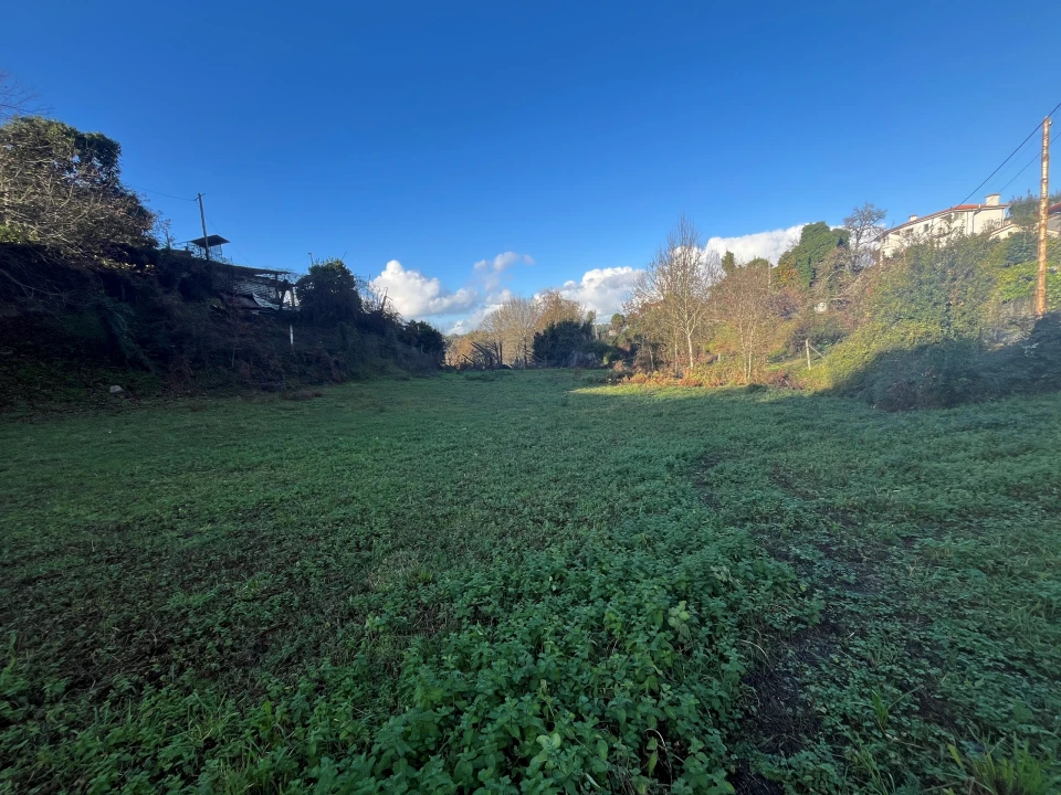 Terreno para Venda em Areias de Vilar e Encourados Foto 2