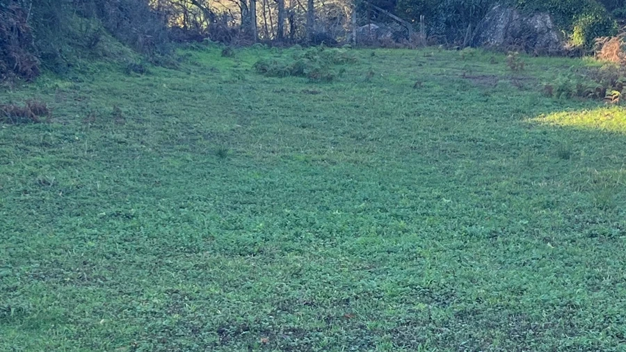 Terreno para Venda em Areias de Vilar e Encourados