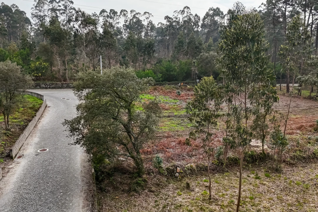 Terreno para Venda em Esposende, Marinhas e Gandra Foto 8