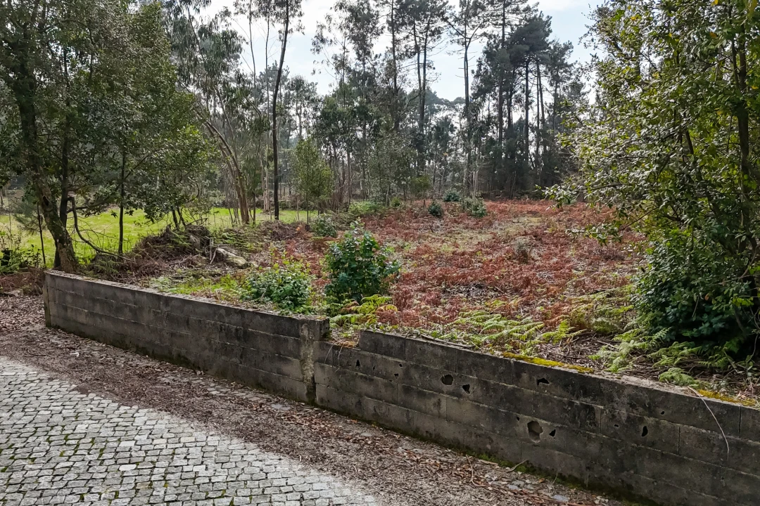 Terreno para Venda em Esposende, Marinhas e Gandra Foto 4