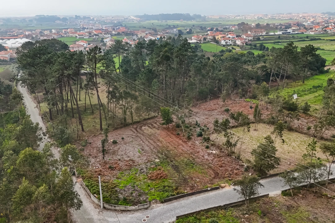 Terreno para Venda em Esposende, Marinhas e Gandra Foto 5