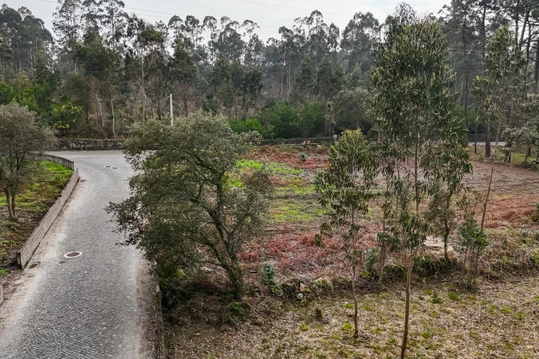 Terreno para Venda em Esposende, Marinhas e Gandra Foto 8