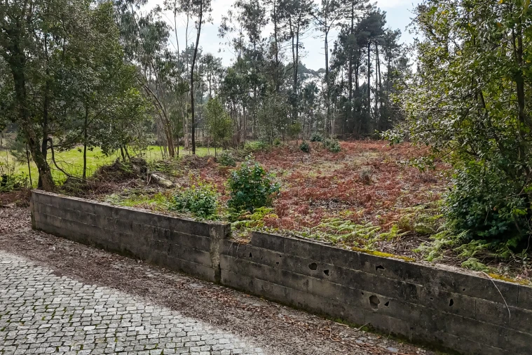 Terreno para Venda em Esposende, Marinhas e Gandra Foto 4