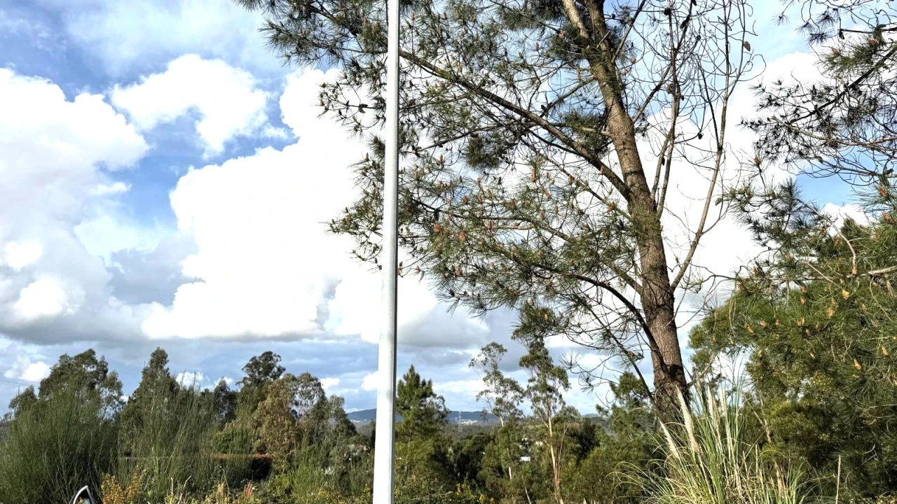 Terreno para Venda em Balazar Foto 10