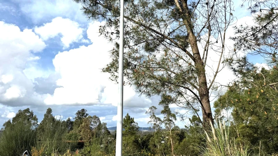 Terreno para Venda em Balazar Foto 10