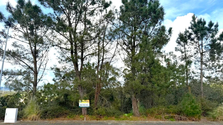 Terreno para Venda em Balazar Foto 11