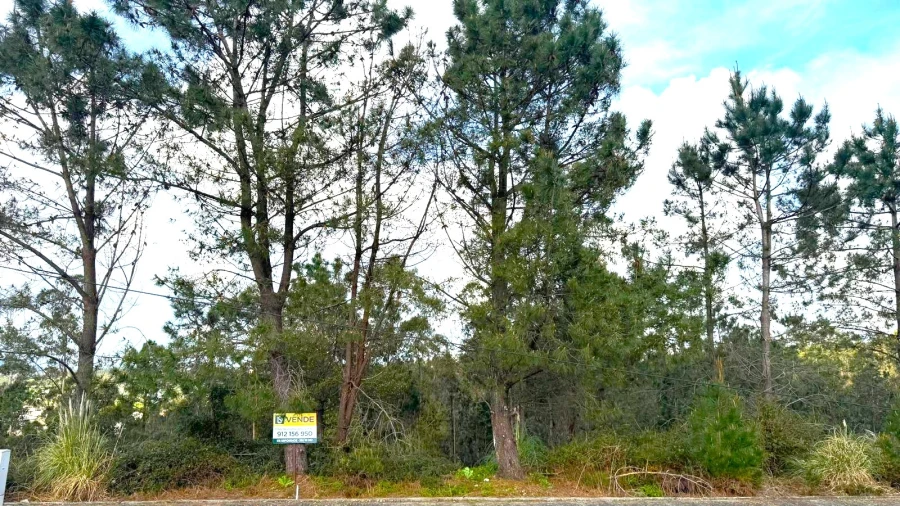 Terreno para Venda em Balazar Foto 13