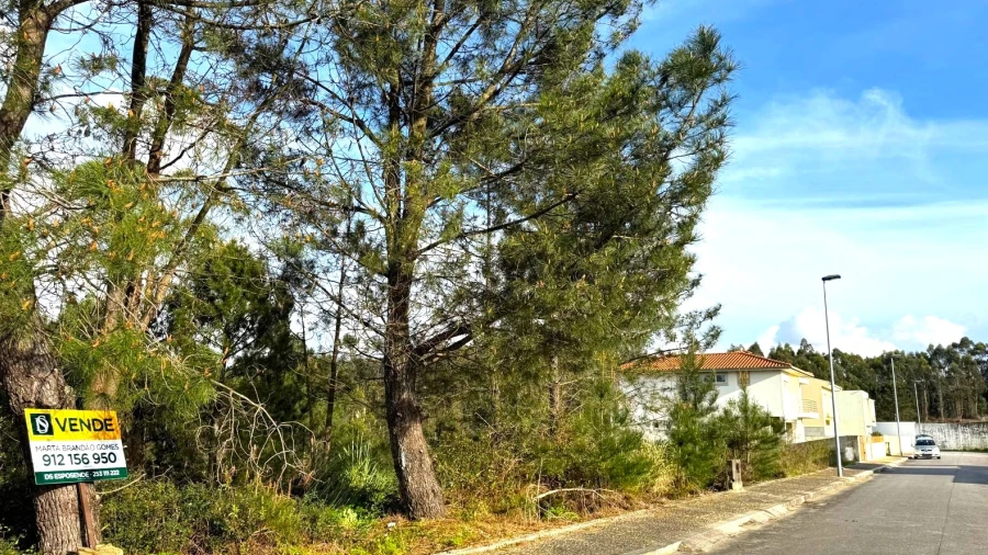 Terreno para Venda em Balazar