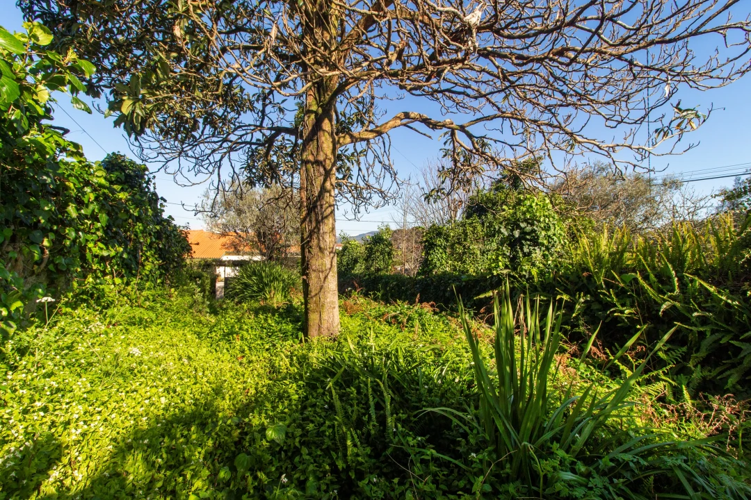 Moradia T5 para Venda em Cardielos e Serreleis Foto 24