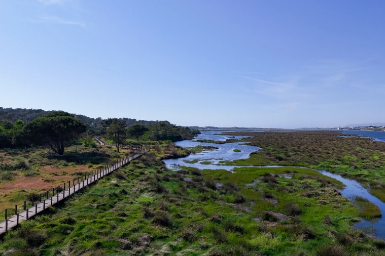 Moradia T4 para Venda em Apúlia e Fão Foto 26