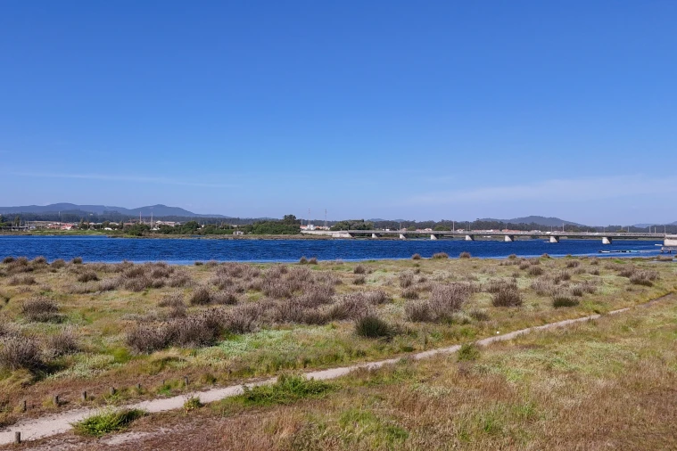 Moradia T4 para Venda em Apúlia e Fão Foto 27