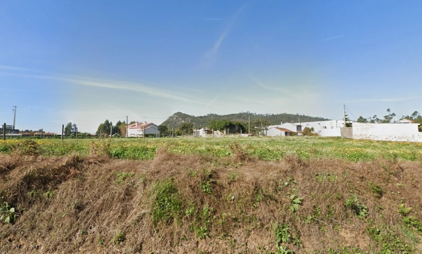 Terreno para Venda em Palmeira de Faro e Curvos Foto 3