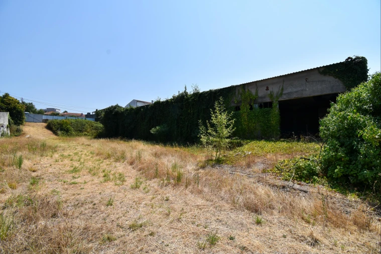 Terreno para Venda em Vila das Aves Foto 3