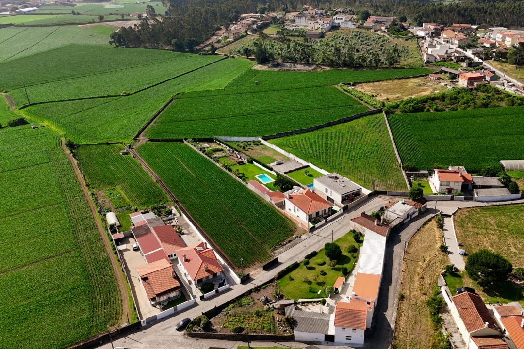 Terreno para Venda em Rio Mau e Arcos Foto 16