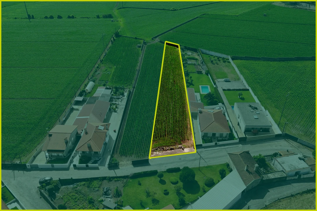 Terreno para Venda em Rio Mau e Arcos Foto 24