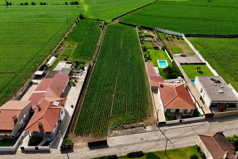 Terreno para Venda em Rio Mau e Arcos Foto 20