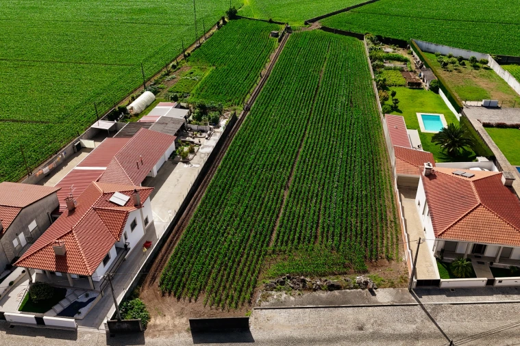 Terreno para Venda em Rio Mau e Arcos Foto 23