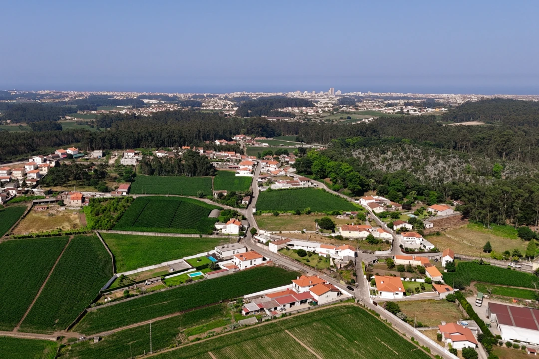 Terreno para Venda em Rio Mau e Arcos Foto 13