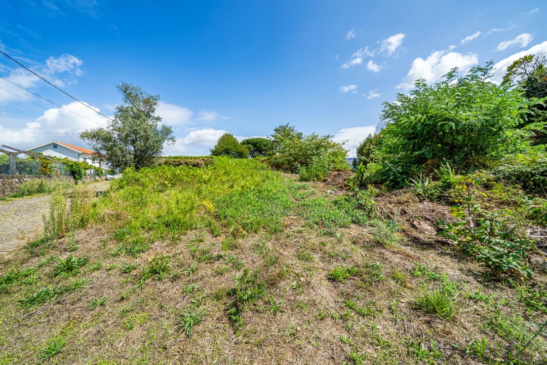 Terreno para Venda em Gondarem Foto 28