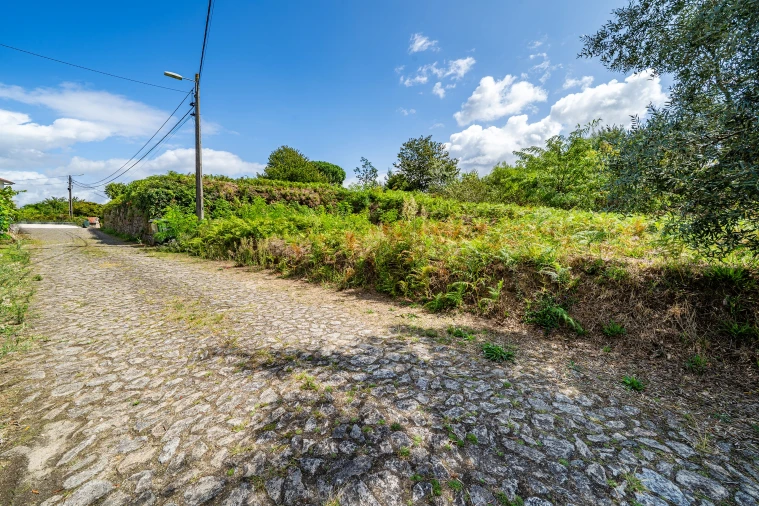 Terreno para Venda em Gondarem Foto 27