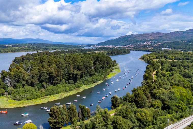 Terreno para Venda em Gondarem Foto 10