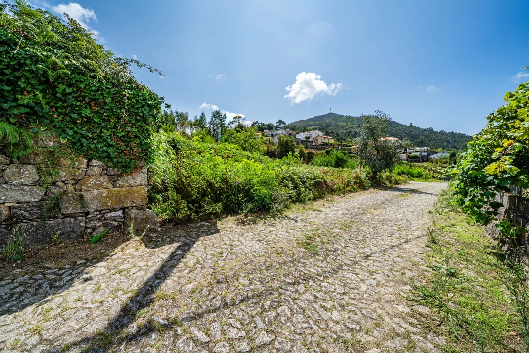 Terreno para Venda em Gondarem Foto 22