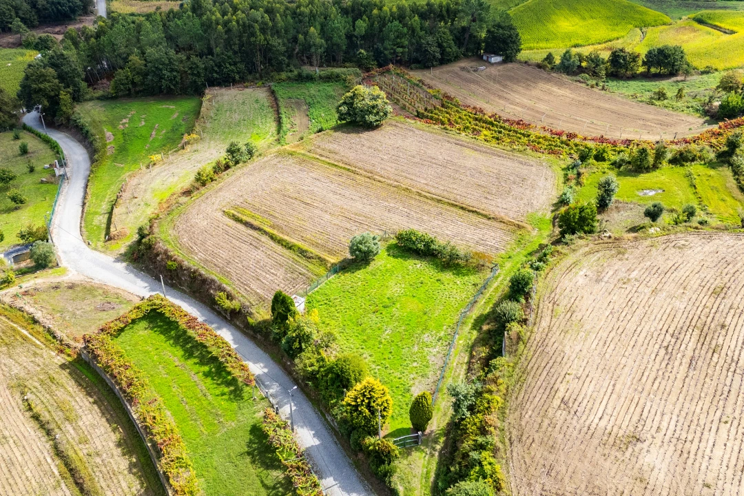 Terreno para Venda em Aborim Foto 32