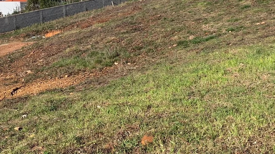 Terreno para Venda em Vila Cova e Feitos