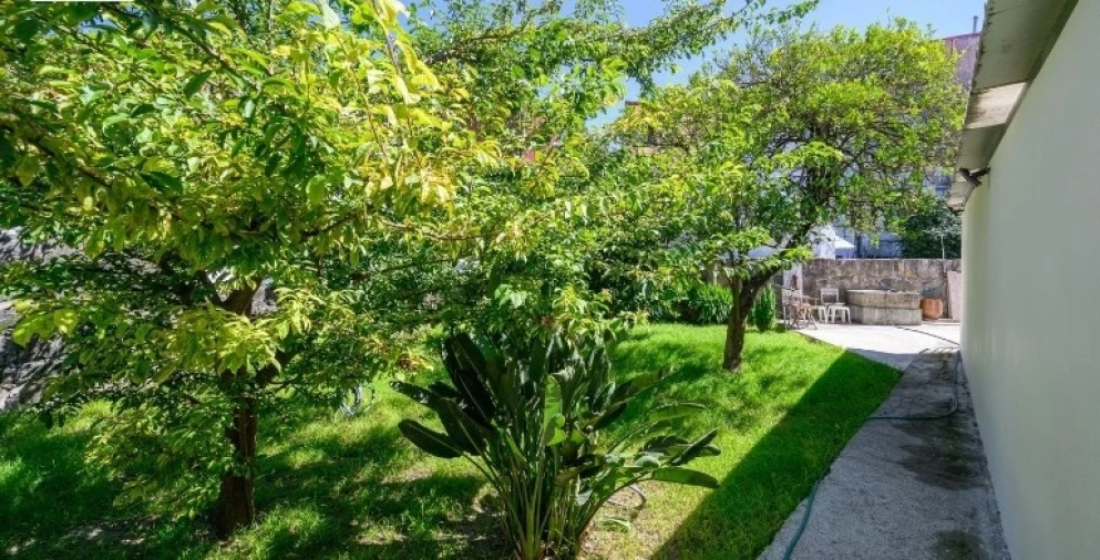 Prédio para Venda em Paranhos Foto 9