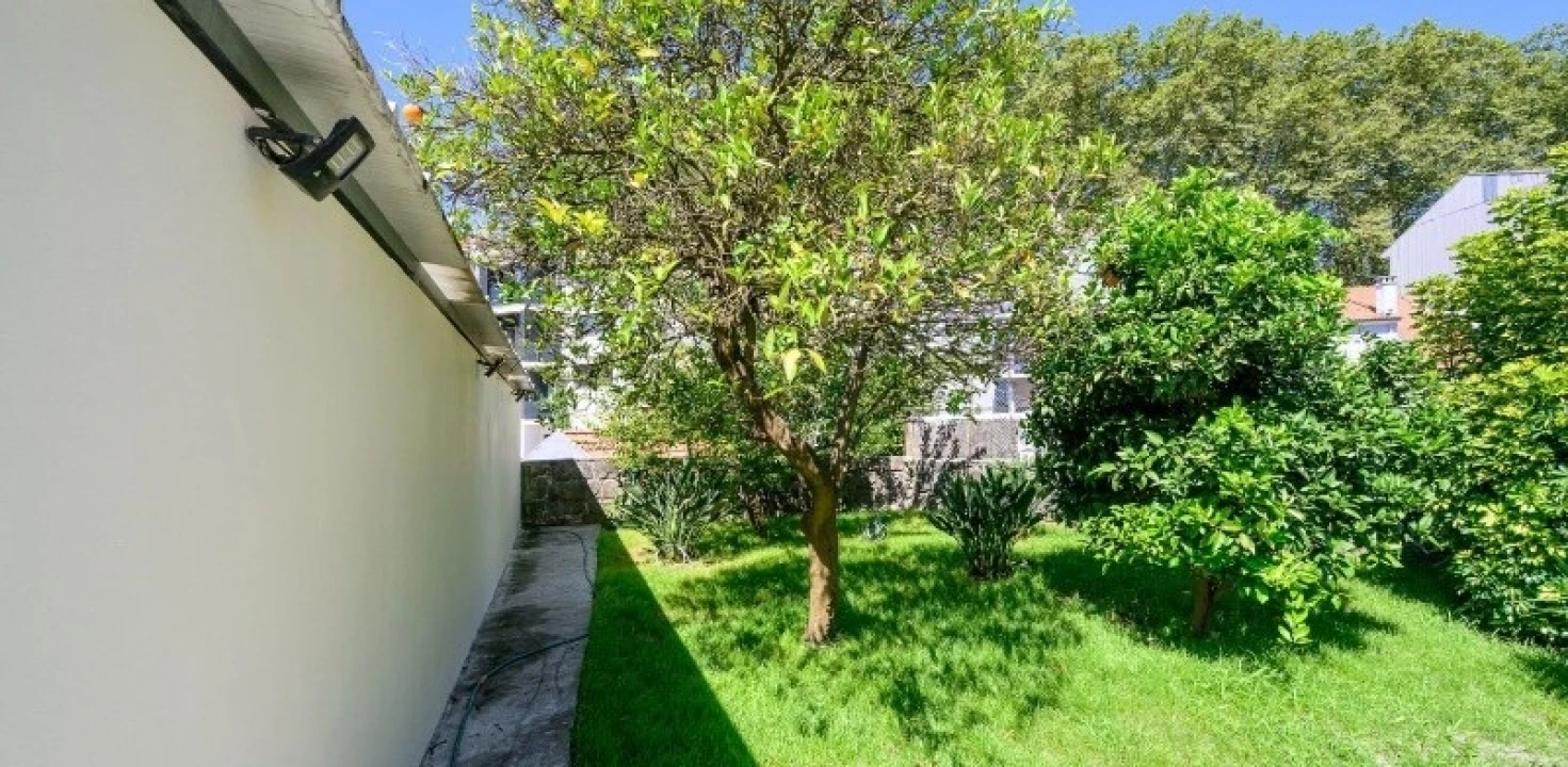 Prédio para Venda em Paranhos Foto 8