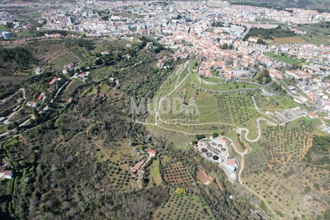 Terreno para Venda em Sé, Santa Maria e Meixedo Foto 11