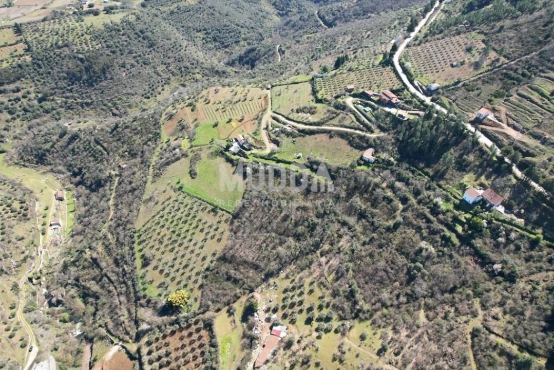 Terreno para Venda em Sé, Santa Maria e Meixedo Foto 22