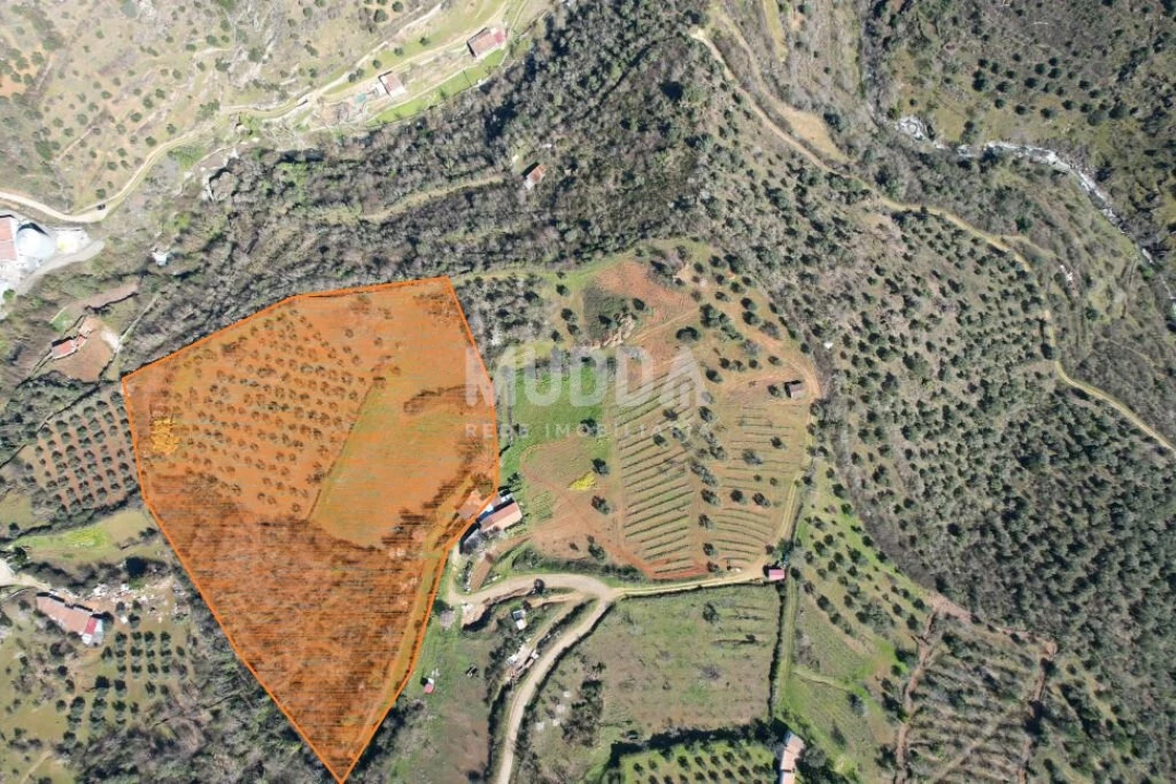 Terreno para Venda em Sé, Santa Maria e Meixedo Foto 2