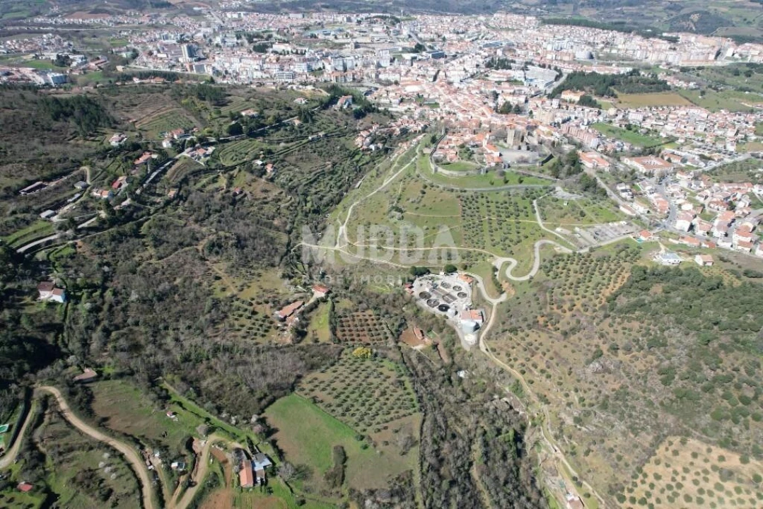 Terreno para Venda em Sé, Santa Maria e Meixedo Foto 12