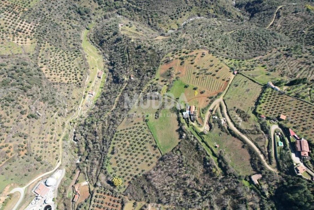 Terreno para Venda em Sé, Santa Maria e Meixedo Foto 23