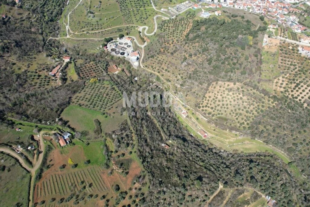 Terreno para Venda em Sé, Santa Maria e Meixedo Foto 13