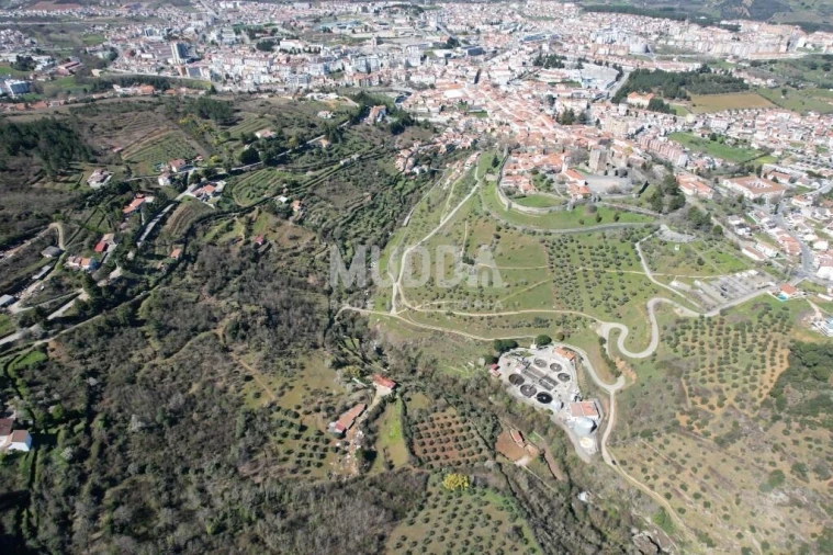 Terreno para Venda em Sé, Santa Maria e Meixedo Foto 11