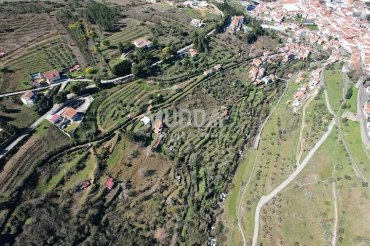 Terreno para Venda em Sé, Santa Maria e Meixedo Foto 9