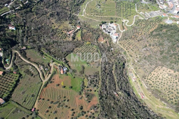 Terreno para Venda em Sé, Santa Maria e Meixedo Foto 10