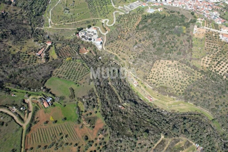 Terreno para Venda em Sé, Santa Maria e Meixedo Foto 13