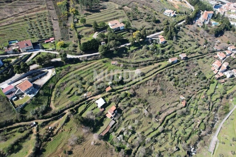 Terreno para Venda em Sé, Santa Maria e Meixedo Foto 6