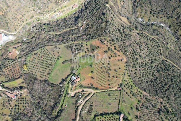 Terreno para Venda em Sé, Santa Maria e Meixedo Foto 16