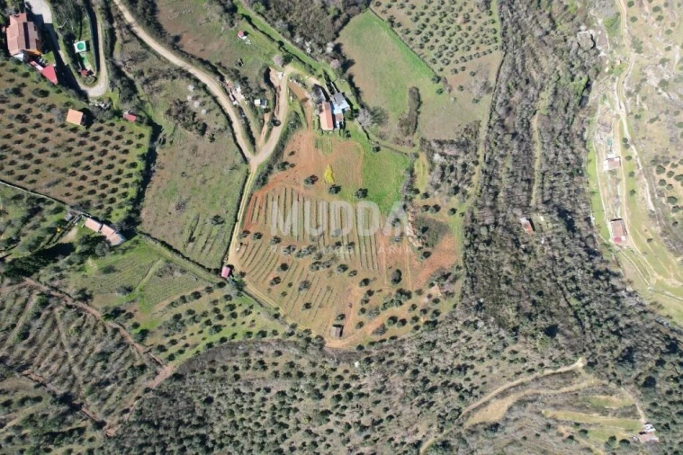 Terreno para Venda em Sé, Santa Maria e Meixedo Foto 15