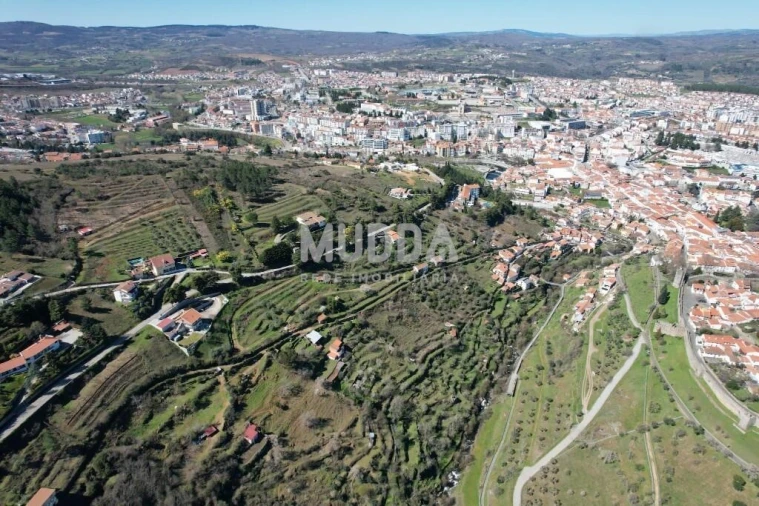 Terreno para Venda em Sé, Santa Maria e Meixedo Foto 7