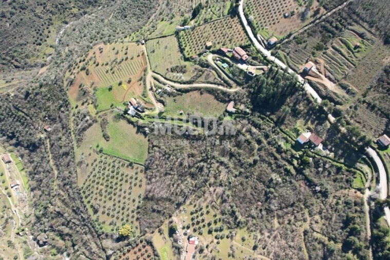 Terreno para Venda em Sé, Santa Maria e Meixedo Foto 20