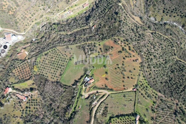 Terreno para Venda em Sé, Santa Maria e Meixedo Foto 19
