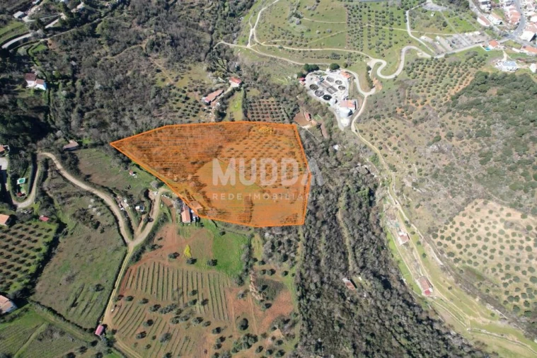 Terreno para Venda em Sé, Santa Maria e Meixedo Foto 3