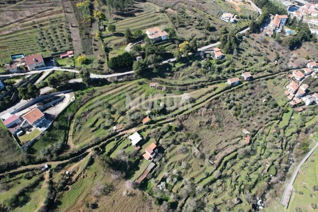 Terreno para Venda em Sé, Santa Maria e Meixedo Foto 6