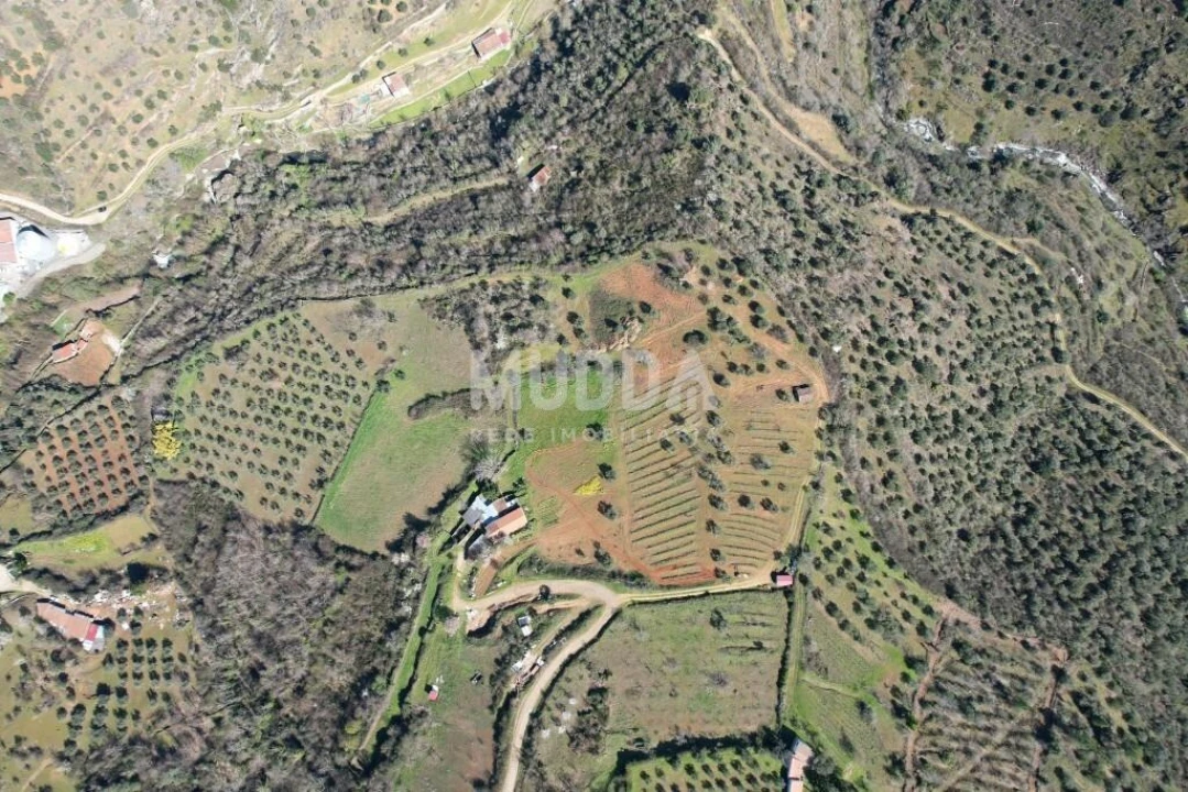 Terreno para Venda em Sé, Santa Maria e Meixedo Foto 16