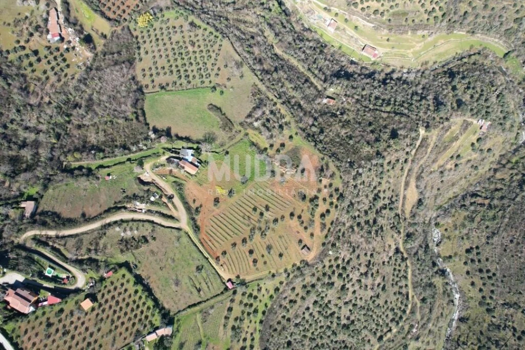 Terreno para Venda em Sé, Santa Maria e Meixedo Foto 17